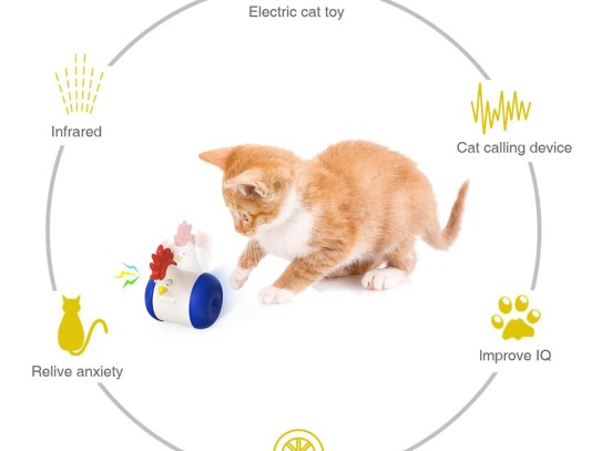  Effective Noises to Attract a Cat: Discover Sounds That Will Draw Your Feline Friend Closer