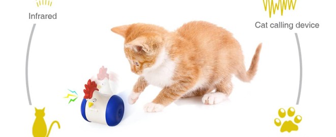  Effective Noises to Attract a Cat: Discover Sounds That Will Draw Your Feline Friend Closer