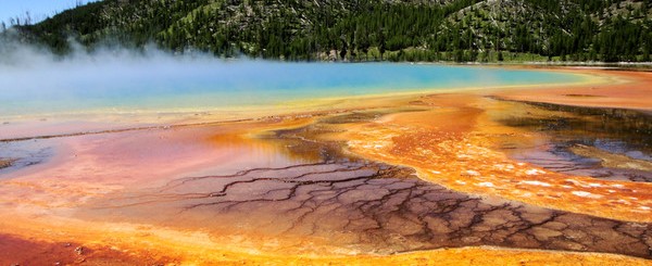  Unforgettable Adventure: Vacation Packages to Yellowstone and Grand Tetons for Nature Lovers